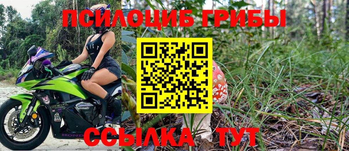 Сланцы  Псилоцибиновые грибы мицелий  Вход с VPN  Галлюциногенные грибы Magic Shrooms 