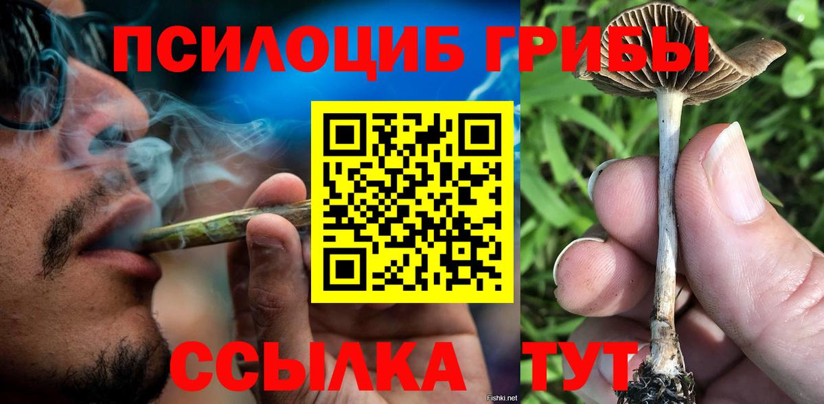 Галлюциногенные грибы Psilocybe Сланцы